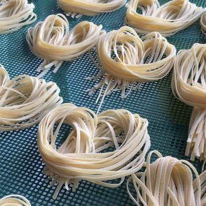 Spaghetti Plano